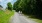 couple walking dog