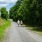 couple walking dog