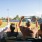 People cheering at a local baseball game